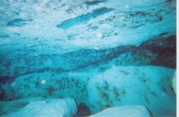 Underwater cave taken at Ginnie Springs in Florida by Robert C Frank 